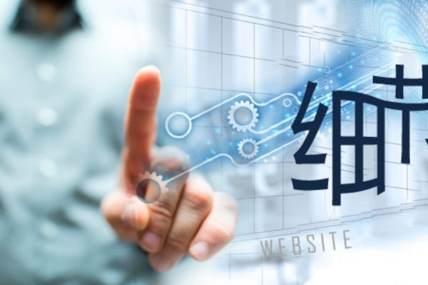 龙海网站建设PC端与移动端开发优先级决策指南